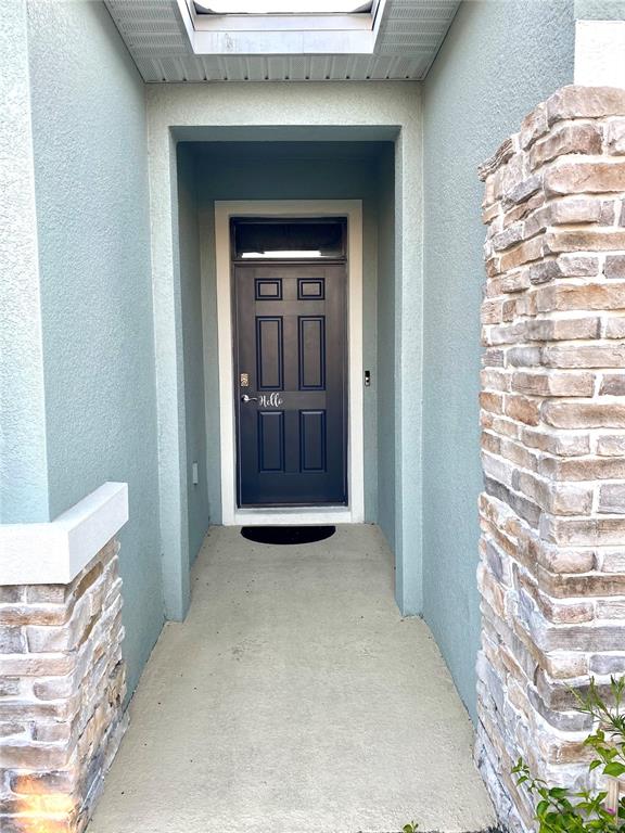 A recessed entryway features a dark door with a transom window and stone-veneer columns — 31882 TANSY BEND, WESLEY CHAPEL, FL