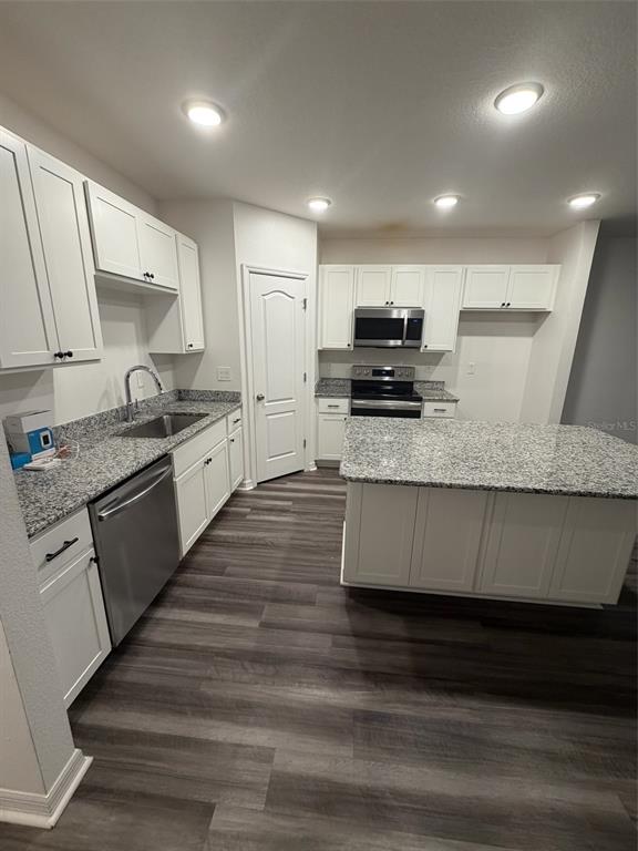 A kitchen features white cabinets, granite countertops, stainless steel appliances, and gray wood-look flooring — 4743 DEER TRACK STREET, TAMPA, FL