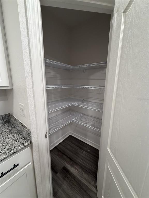 A walk-in pantry features white wire shelving, light walls, and dark wood-look flooring — 4743 DEER TRACK STREET, TAMPA, FL