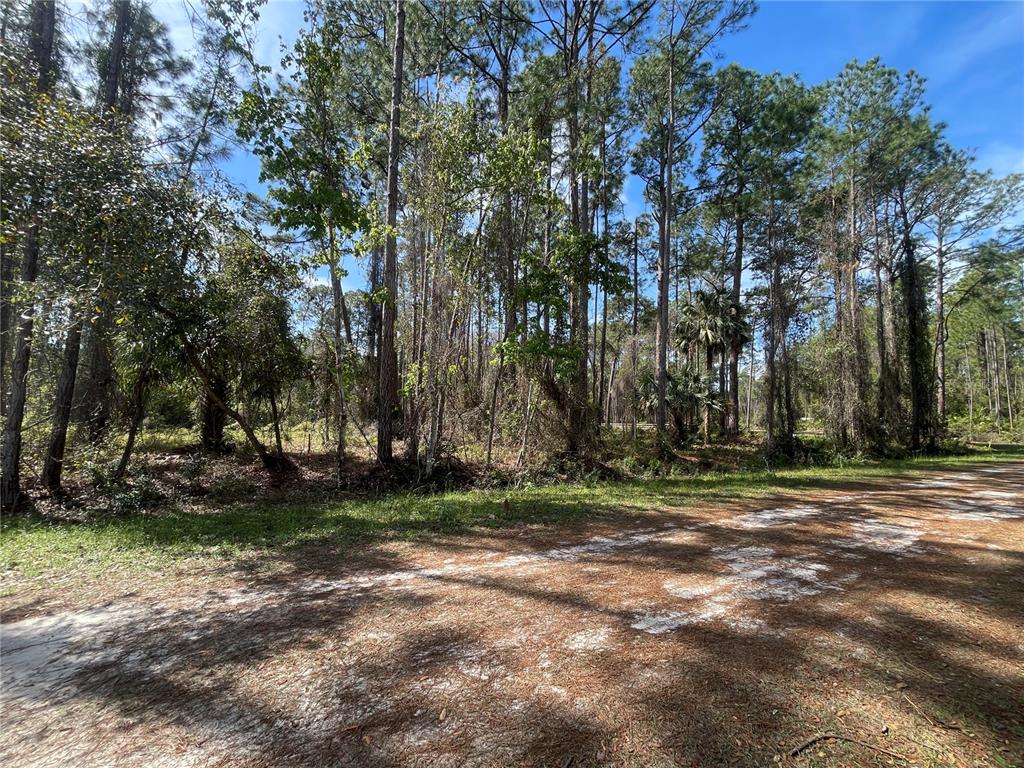 107 ROSEWOOD STREET, GEORGETOWN, FL — photo 3 of 6