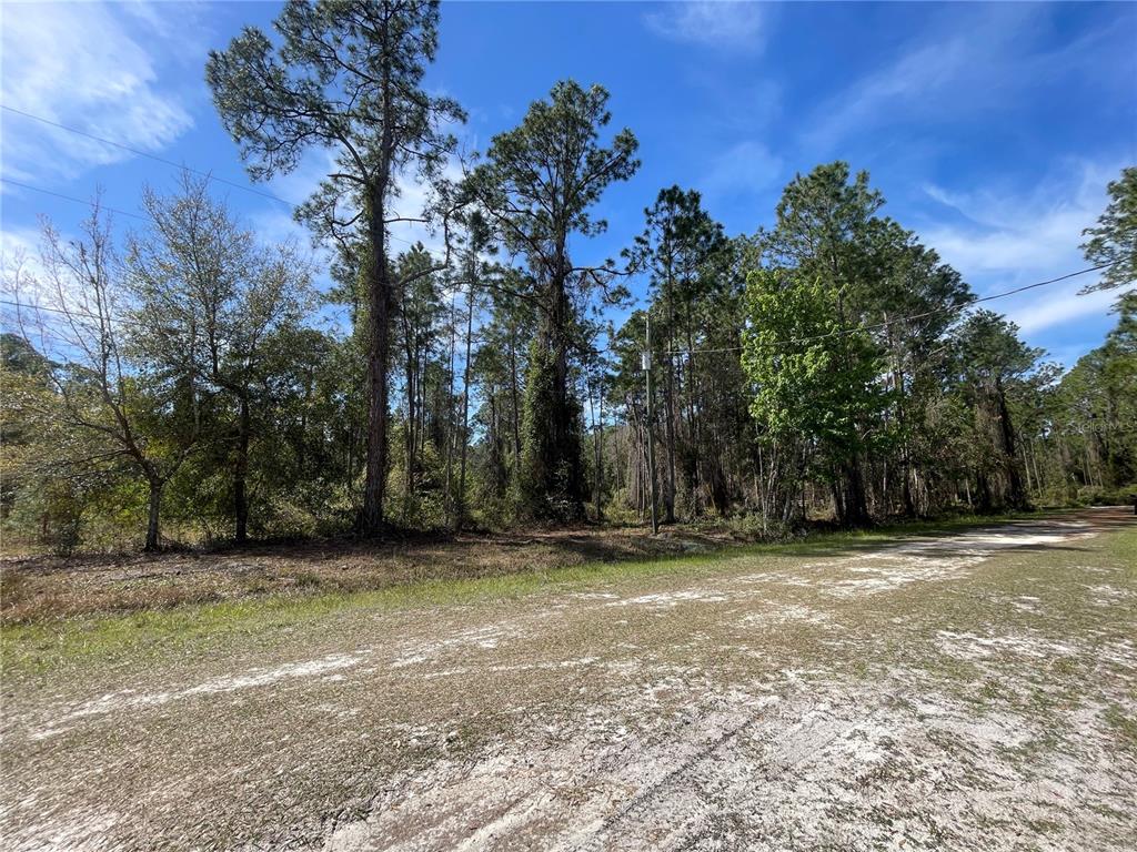 107 ROSEWOOD STREET, GEORGETOWN, FL — photo 4 of 6