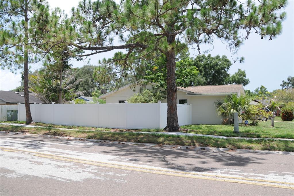 A single-story house with a white vinyl fence sits behind a large pine tree — 8002 WOODVINE PLACE, TAMPA, FL
