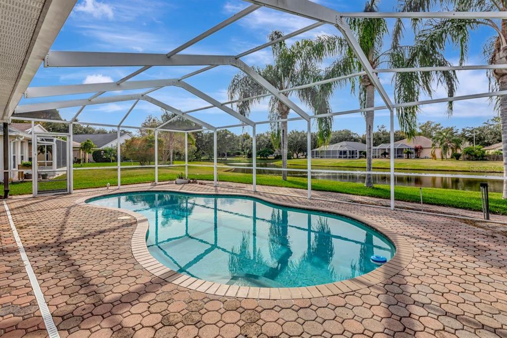 A screened-in swimming pool with a brick paver deck overlooks a pond and palm trees — 19519 MORDEN BLUSH DRIVE, LUTZ, FL