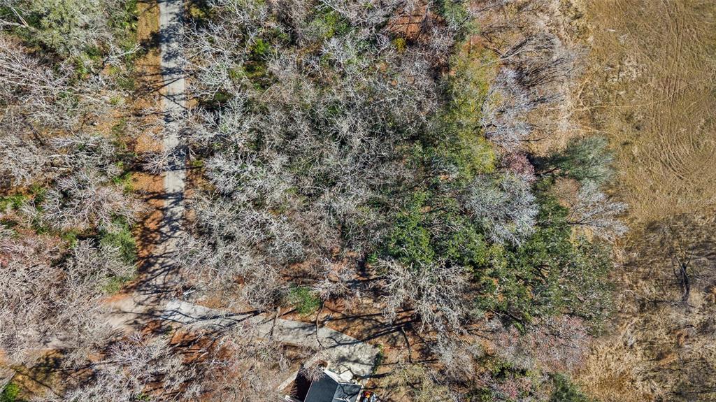 An aerial view shows a wooded lot with a driveway leading to a house — 23126 FITZHUGH AVENUE, BROOKSVILLE, FL
