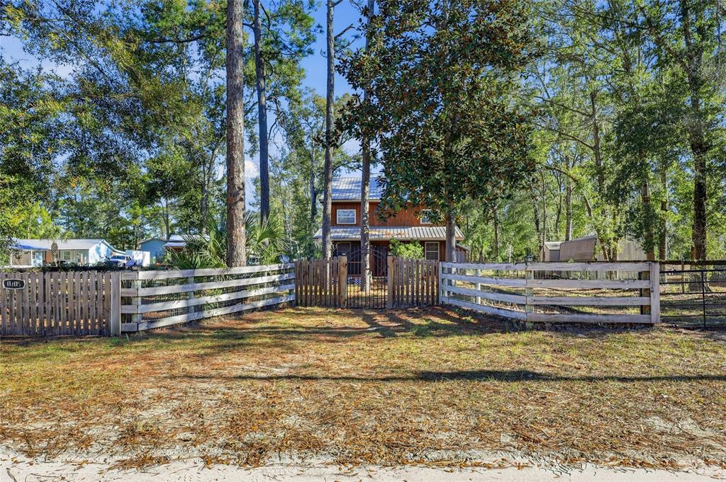 317 CEDAR STREET NE, STEINHATCHEE, FL — photo 2 of 30