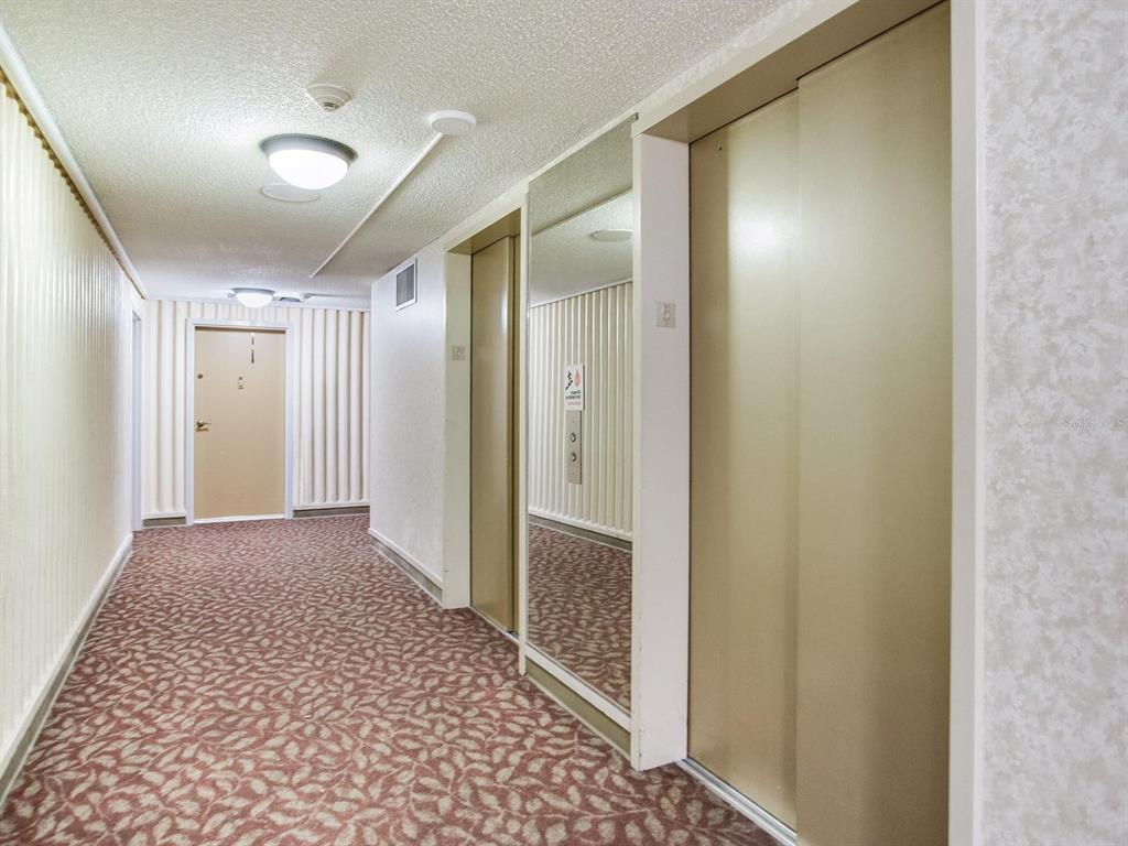 A carpeted hallway features an elevator, a mirror, and a door at the end — 4141 BAYSHORE BOULEVARD UNIT 505, TAMPA, FL