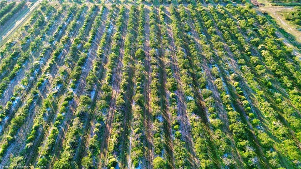 An aerial view shows rows of citrus trees planted in a large, orderly orchard — 2233 Hicks Road, FL 33857, FL