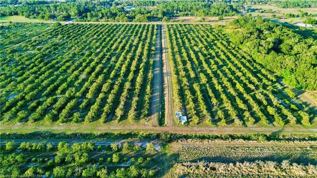 An aerial view shows a large, rectangular citrus grove divided by a central dirt path — 2233 Hicks Road, FL 33857, FL