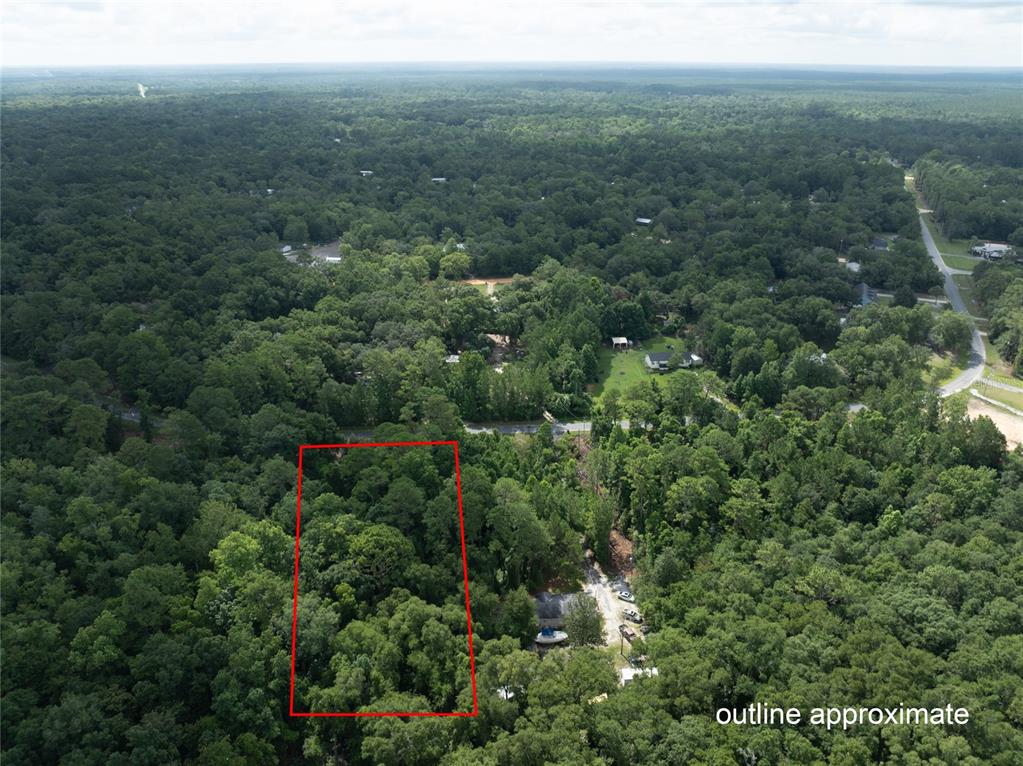 5165 CHICORY CIRCLE, MIDDLEBURG, FL — photo 4 of 23