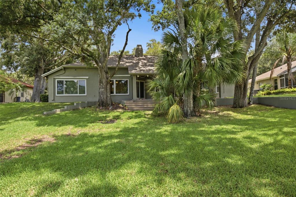 A single-story house with a green exterior, large windows, and a palm tree in front — 16416 WINDSOR PARK DRIVE, LUTZ, FL