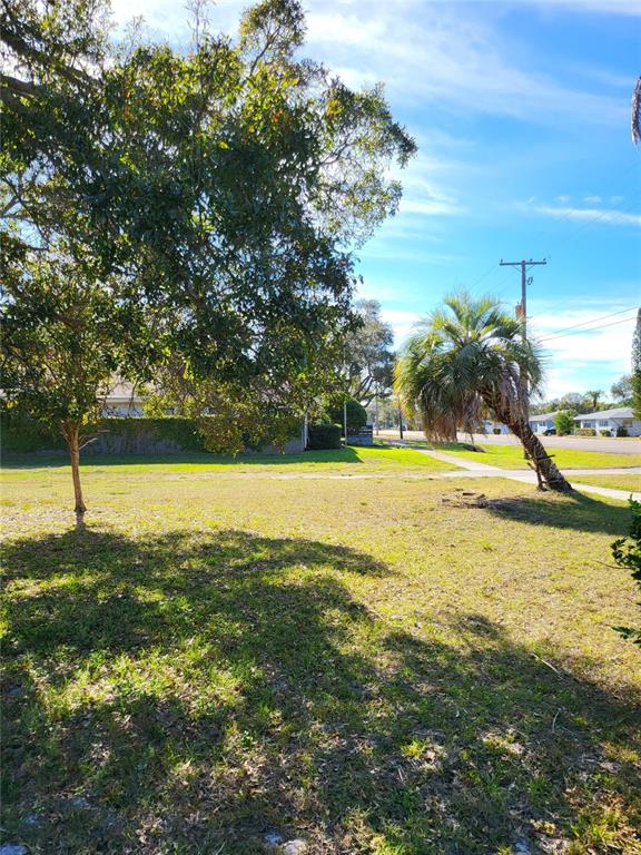 A grassy vacant lot features a large tree and a leaning palm tree near a street — 2131 COACHMAN ROAD NE, CLEARWATER, FL