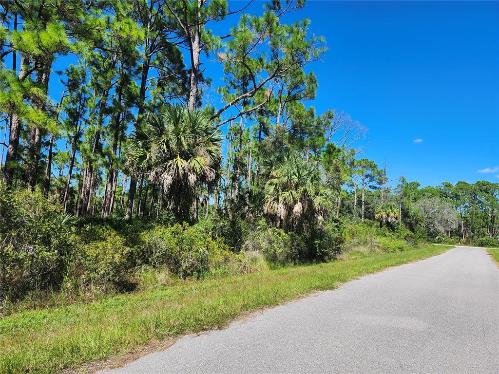 A paved road runs alongside a wooded area with pine trees and palmettos — 1021 NAUTILUS TERRACE, PORT CHARLOTTE, FL