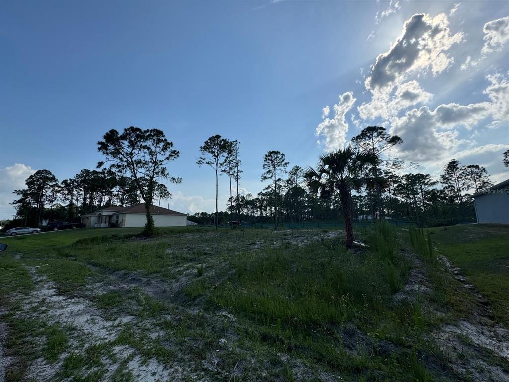 A vacant, grassy residential lot with scattered trees and a neighboring house under a blue sky — 762 HARRIET, PALM BAY, FL