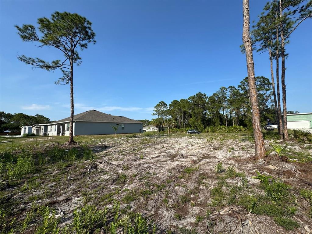A vacant, sandy residential lot features several tall pine trees under a clear blue sky — 762 HARRIET, PALM BAY, FL