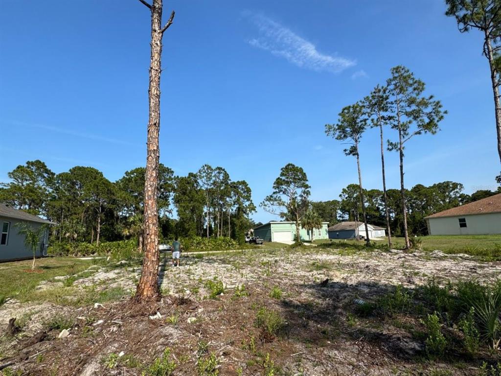A vacant, sandy residential lot with scattered pine trees and neighboring houses in the background — 762 HARRIET, PALM BAY, FL