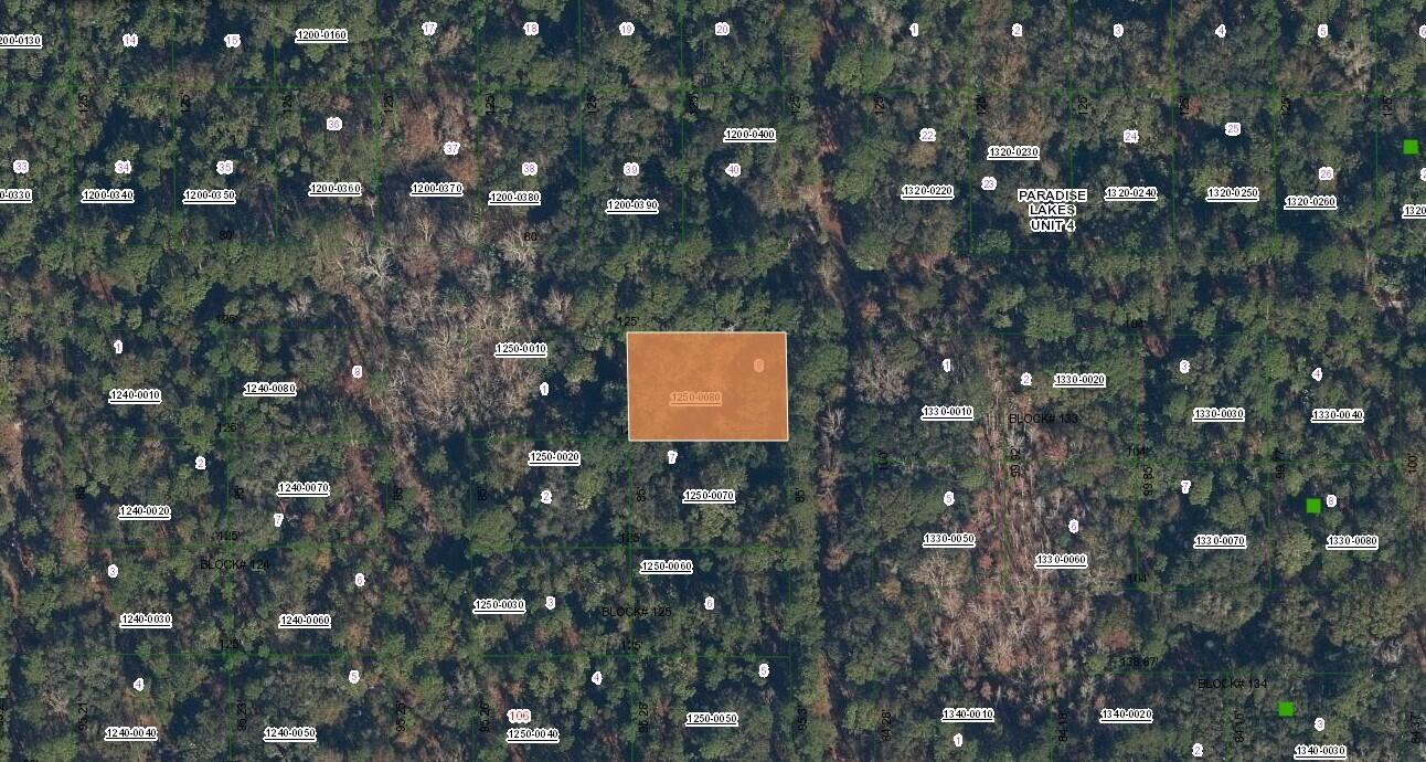 0 Spruce Drive, FL 32139