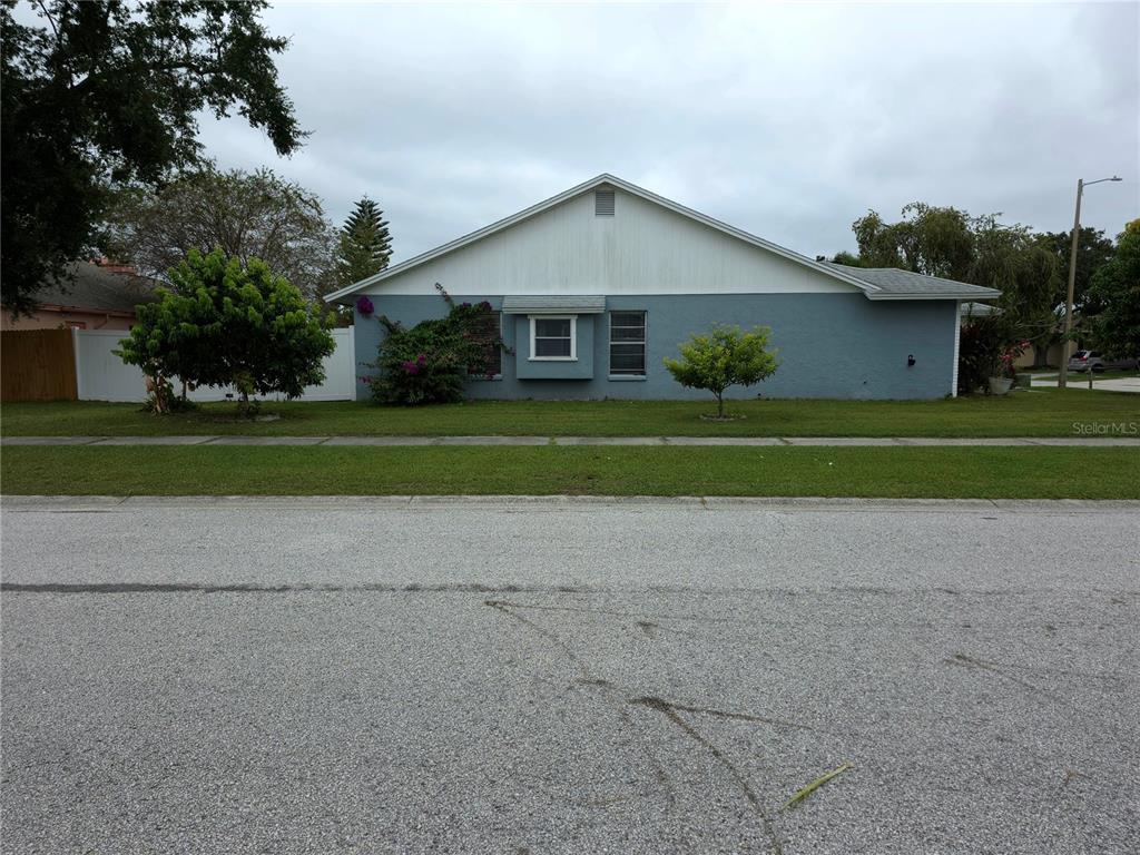 A single-story house with blue siding and a white gable roof faces a street — 13202 PINE CREEK CIRCLE, RIVERVIEW, FL