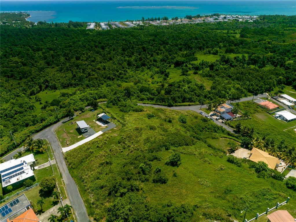 An aerial view shows a grassy, undeveloped lot surrounded by trees, roads, and nearby houses — Barrio Mameyes LINDO MAR II Lote 14, RIO GRANDE, PR