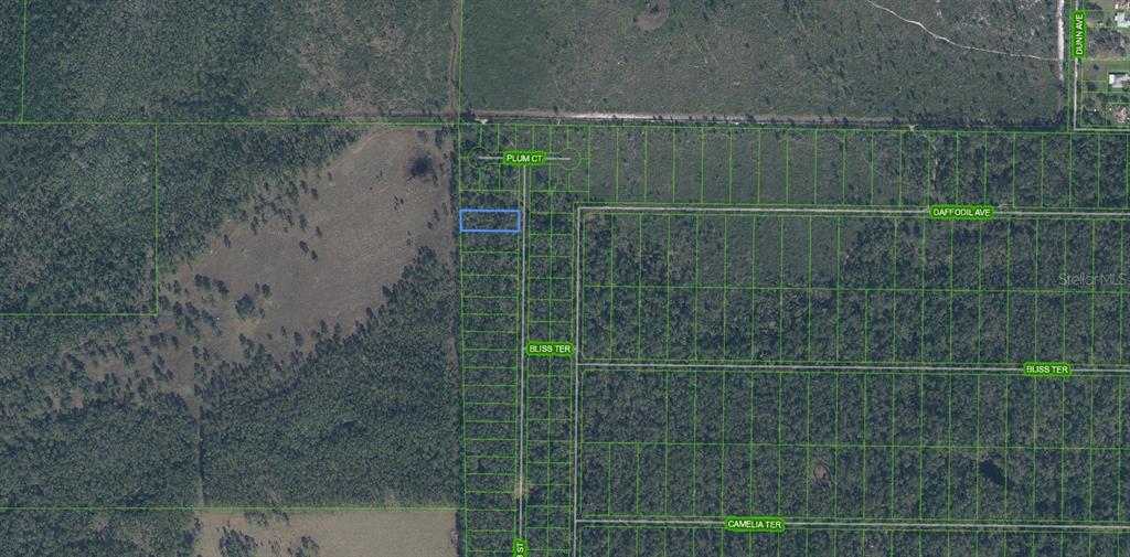 An aerial map shows a rectangular parcel of land highlighted in blue near a road — 4705 RHUBARB STREET, SEBRING, FL