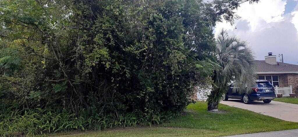 A dense thicket of trees and shrubs stands next to a house with a driveway — 2046 Galahad Drive, Deltona FL 32738, DELTONA, FL