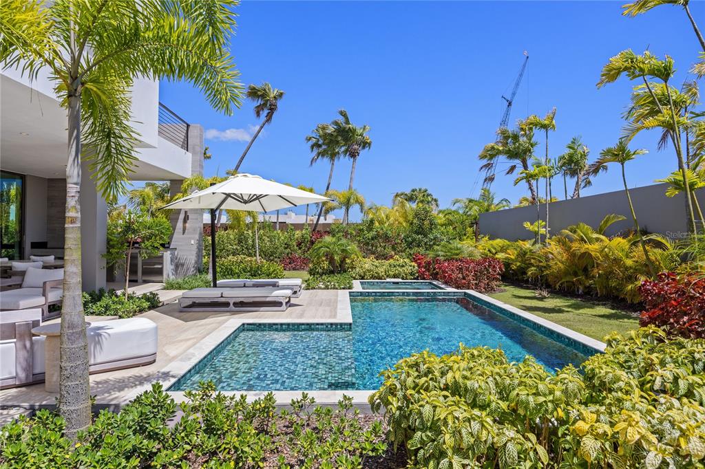 A modern backyard features a rectangular swimming pool, lounge chairs under an umbrella, and palm trees — 39 THE ISLES, DORADO, PR