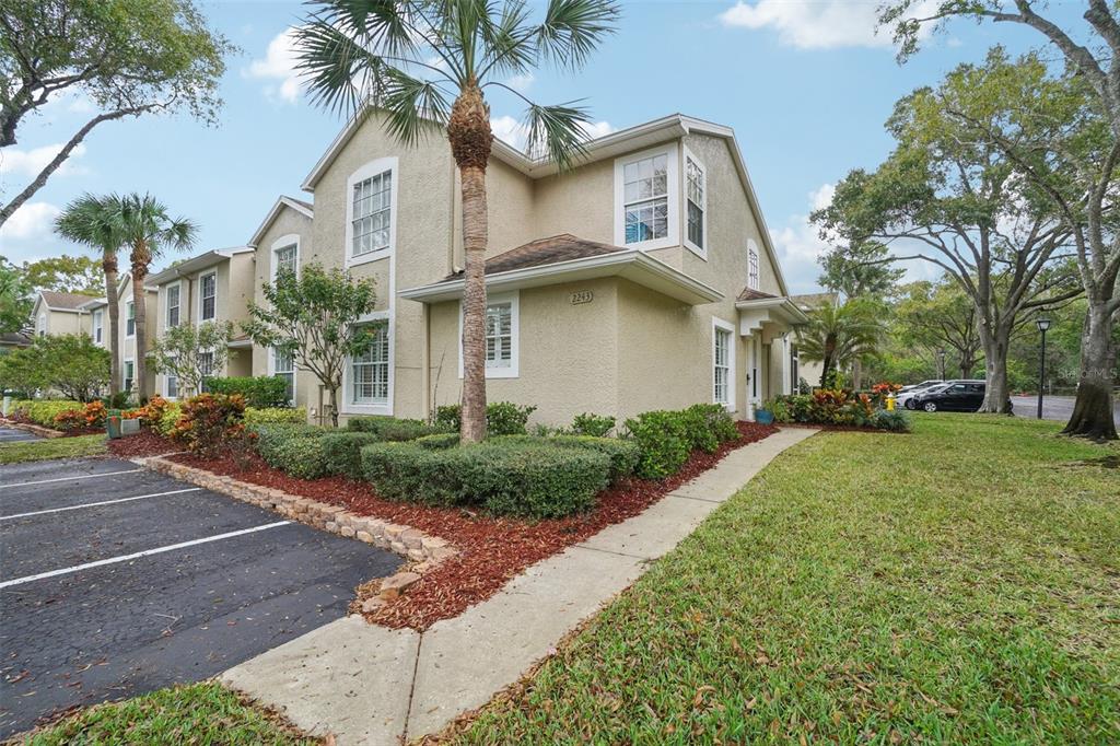 A two-story tan stucco townhouse with a palm tree and parking lot in front — 2243 ANDOVER CIRCLE, PALM HARBOR, FL