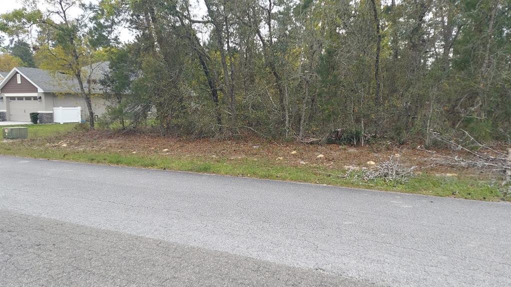 3 TALL MARIGOLDS CT,