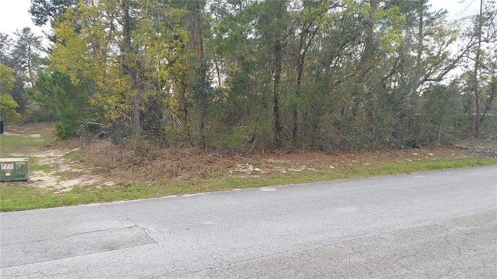A vacant, wooded lot sits alongside a paved road with a utility box nearby — 3 TALL MARIGOLDS CT,, HOMOSASSA, FL
