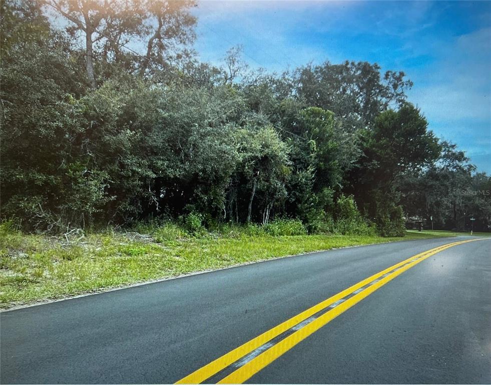 A paved road runs alongside a densely wooded, undeveloped plot of land — 3 TALL MARIGOLDS CT,, HOMOSASSA, FL