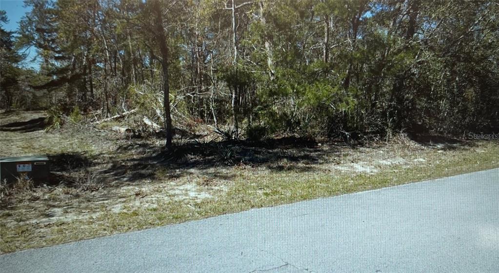 A vacant, wooded lot sits adjacent to a paved road with a utility box nearby — 3 TALL MARIGOLDS CT,, HOMOSASSA, FL