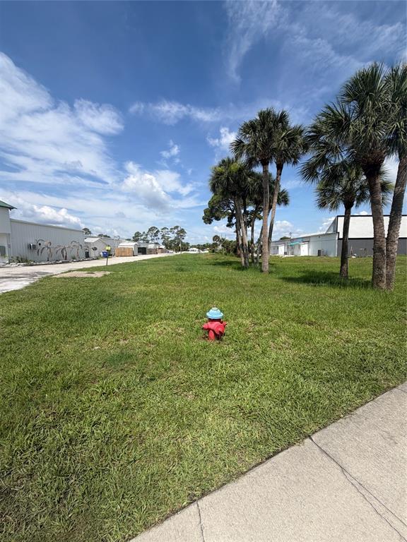 A grassy lot features a fire hydrant and several palm trees under a blue sky — 0 S RIDGEWOOD AVENUE, EDGEWATER, FL
