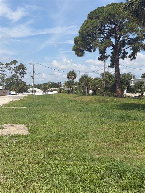 A grassy, vacant lot features a large pine tree and scattered palm trees under blue skies — 0 S RIDGEWOOD AVENUE, EDGEWATER, FL