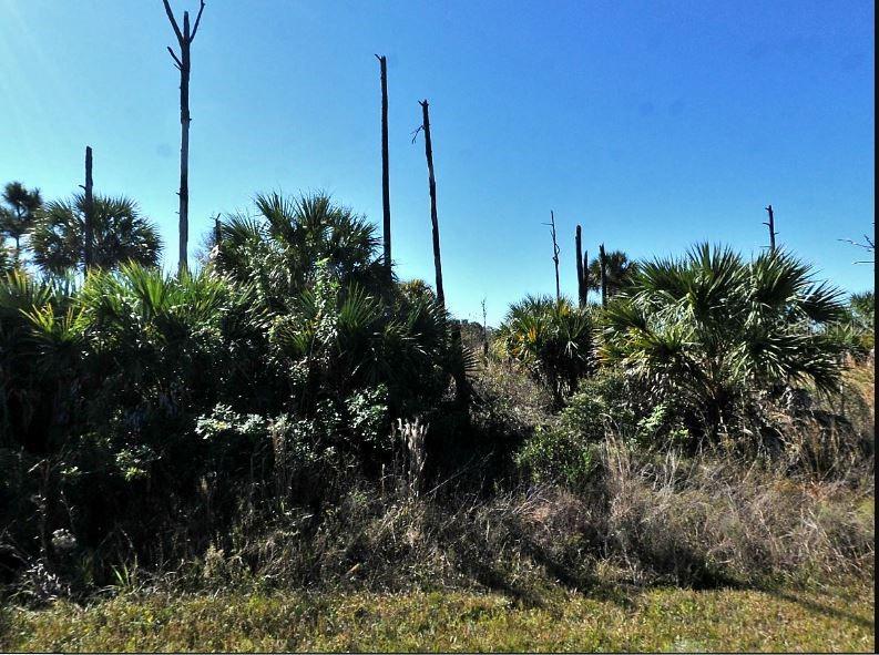 EWEN CIRCLE, NORTH PORT, FL — photo 2 of 5