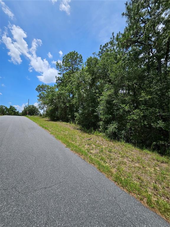 A paved road curves alongside a wooded lot under a blue sky with clouds — 12350 S ELM POINT, FLORAL CITY, FL