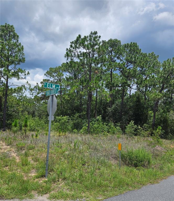 A street sign for Elm Street and Oak Forest Street stands before a wooded vacant lot — 12350 S ELM POINT, FLORAL CITY, FL