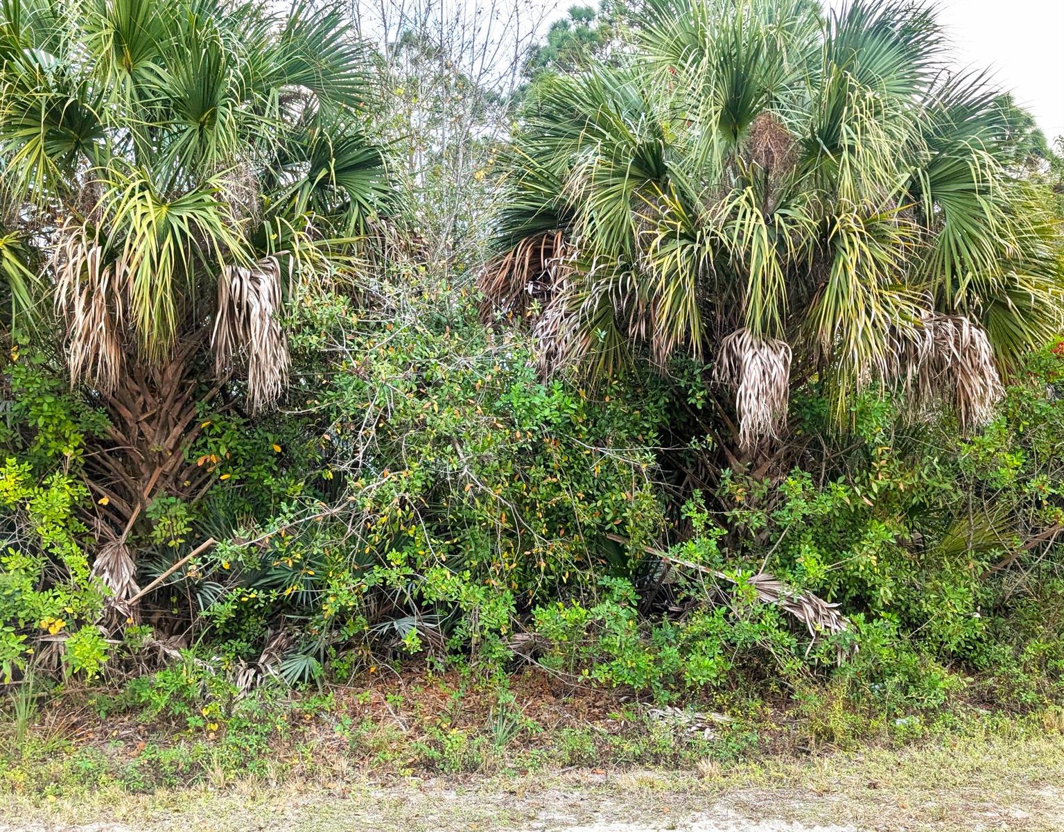 12885 86th Street, Fellsmere FL 32948
