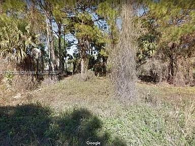 A vacant, overgrown lot features scattered pine trees and dense vegetation under a clear sky — 676 KODAK ST, Lehigh Acres FL 33972, LEHIGH ACRES, FL