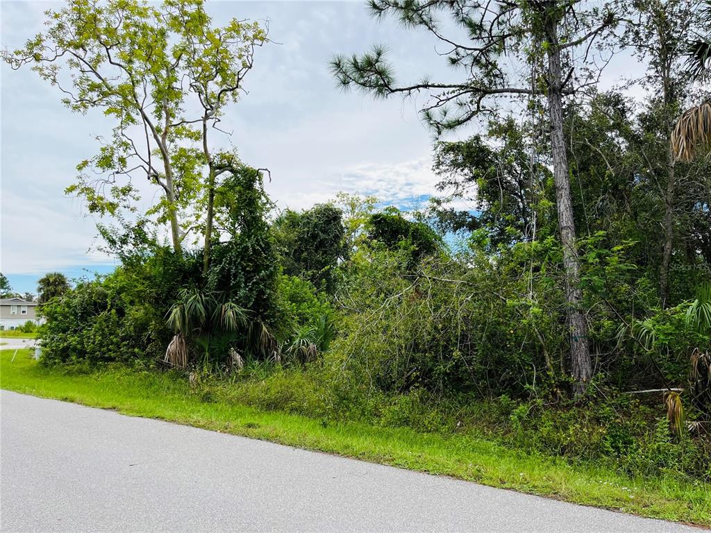 A paved road runs alongside a densely wooded, undeveloped lot with various trees and shrubs — 26153 FLOWER ROAD, PUNTA GORDA, FL