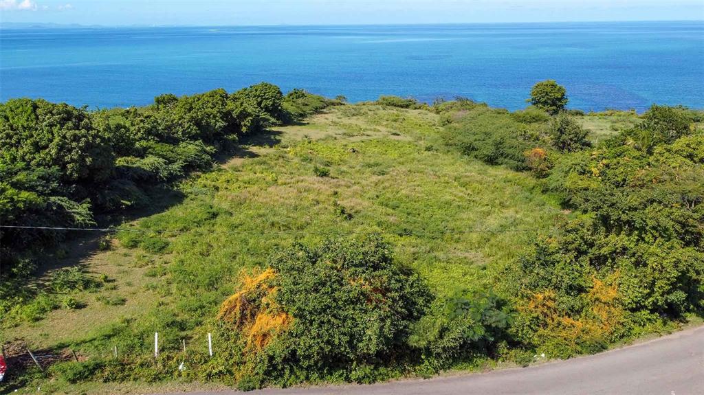 An aerial view of a grassy, undeveloped coastal lot bordered by trees and a road — 53 CALLE CANON, VIEQUES, PR