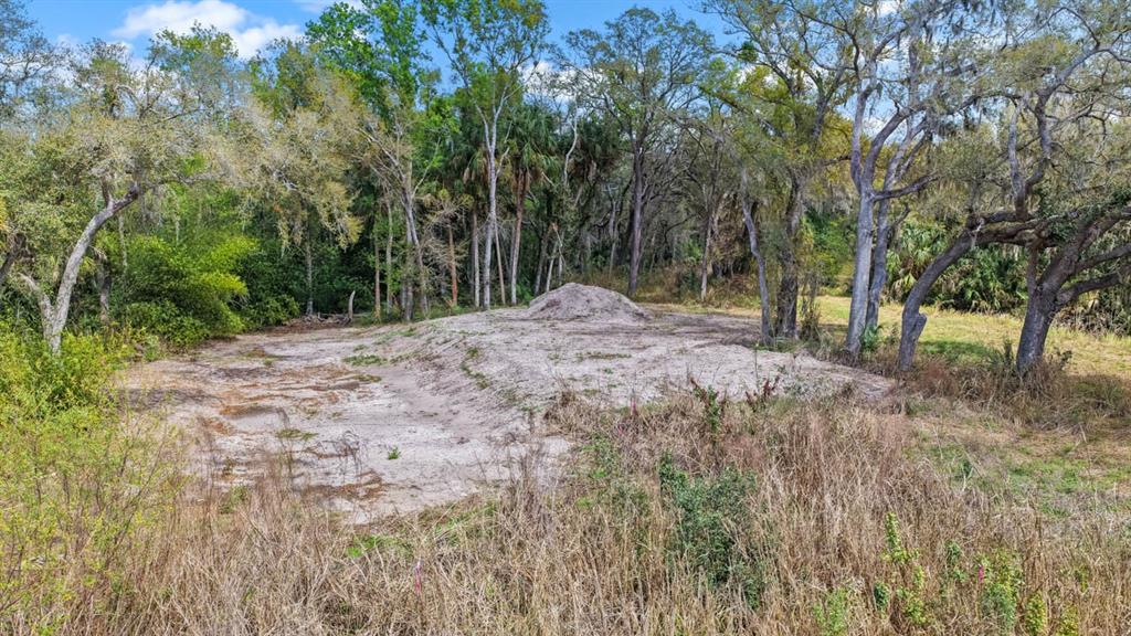3106 TIMBERLEE ROAD, WIMAUMA, FL — photo 2 of 30