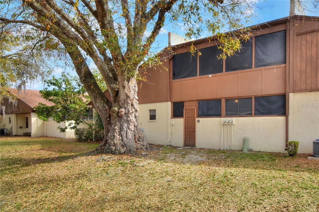 A two-story building exterior with brown siding, a brown door, and a large tree — 1880 N CRYSTAL LAKE DRIVE UNIT 4, LAKELAND, FL