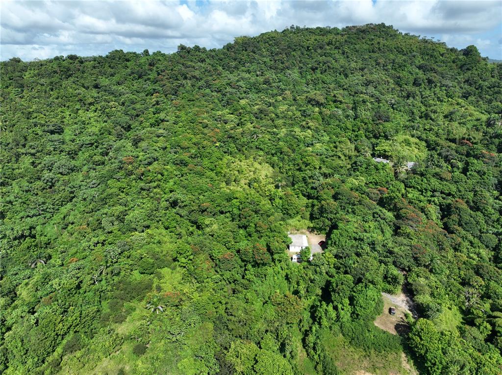 PR 902 CAMINO CARLOS DIAZ
