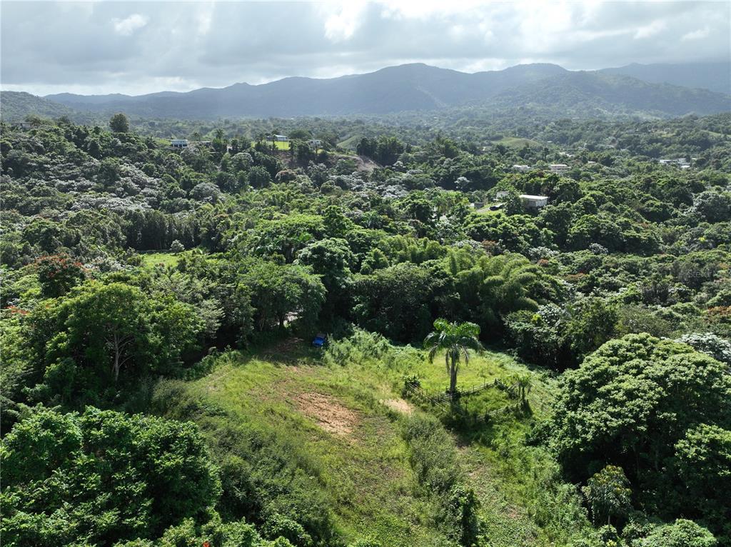 An aerial view shows a grassy clearing surrounded by dense tropical forest and distant mountains — PR 902 CAMINO CARLOS DIAZ, SAN LORENZO, PR