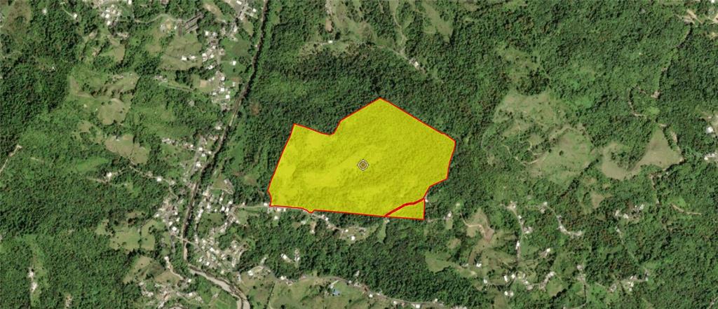 An aerial map view shows a yellow-highlighted parcel of land surrounded by dense forest — PR 902 CAMINO CARLOS DIAZ, SAN LORENZO, PR