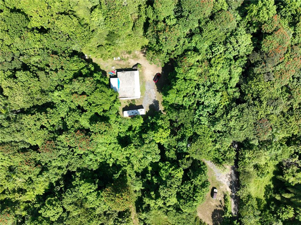 An aerial view shows a small house and a trailer surrounded by dense green forest — PR 902 CAMINO CARLOS DIAZ, SAN LORENZO, PR