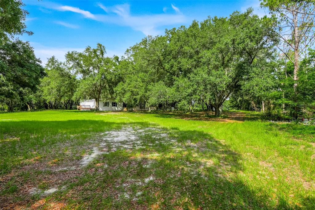 A grassy lot features a small white house nestled among large, mature oak trees — 23449 THOMAS ALLEN ROAD, HOWEY IN THE HILLS, FL