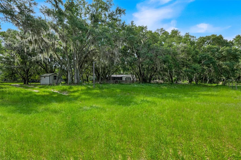 A grassy field leads to a small shed and a house nestled among large trees — 23449 THOMAS ALLEN ROAD, HOWEY IN THE HILLS, FL
