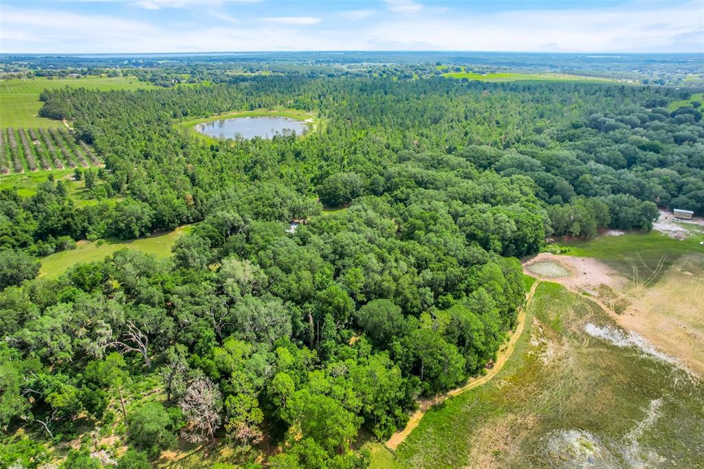 An aerial view shows a wooded property with a small pond and open fields — 23449 THOMAS ALLEN ROAD, HOWEY IN THE HILLS, FL