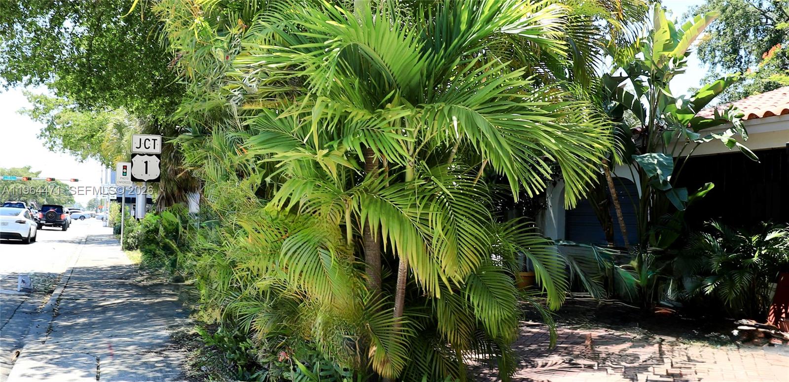 A sidewalk runs alongside a lush palm tree and a junction sign for US Route 1 — 655 NE 82nd St, Miami FL 33138, MIAMI, FL
