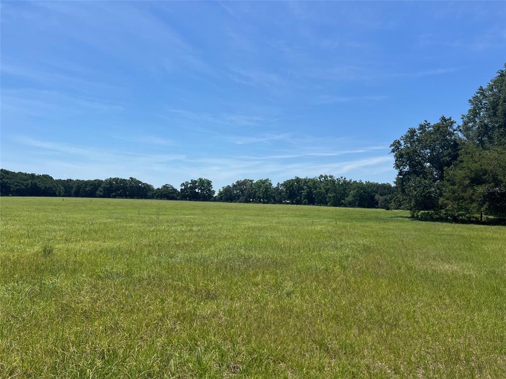 A wide, grassy field stretches toward a distant tree line under a clear blue sky — 00 NW 165TH AVENUE, HIGH SPRINGS, FL